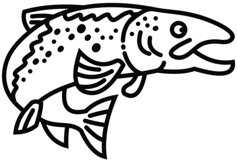 Speckled Trout Coloring Page